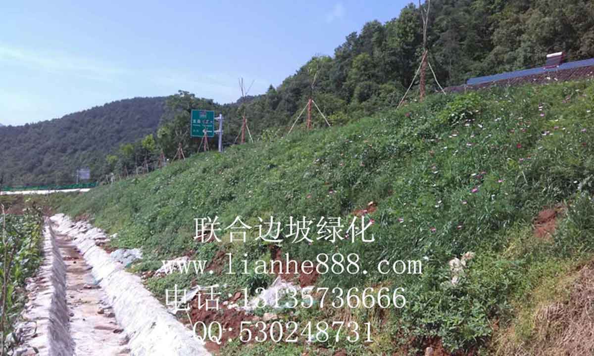 貴州、安順滬昆高鐵項(xiàng)目